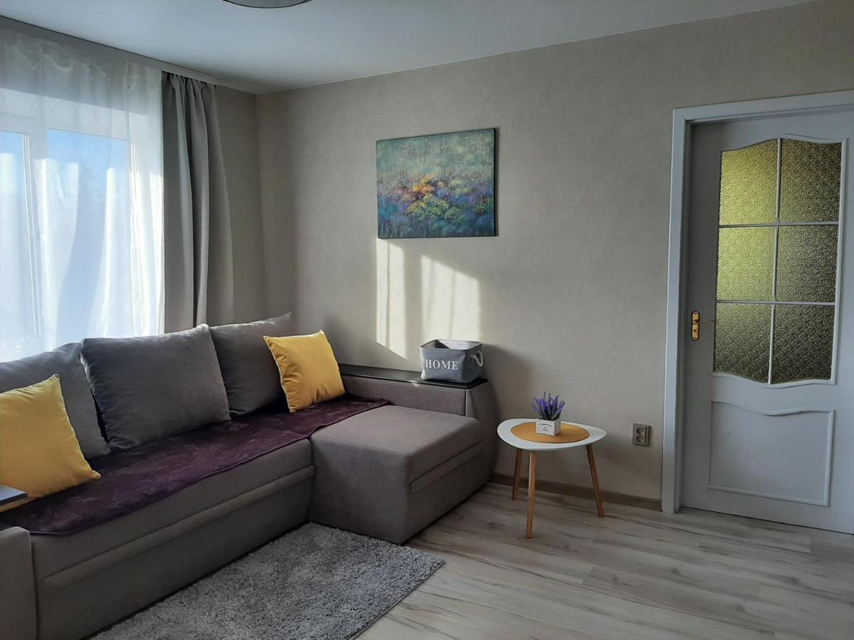 Ir Apartment Rezekne Bagian luar foto
