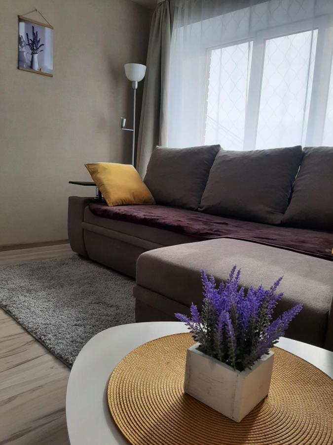 Ir Apartment Rezekne Bagian luar foto